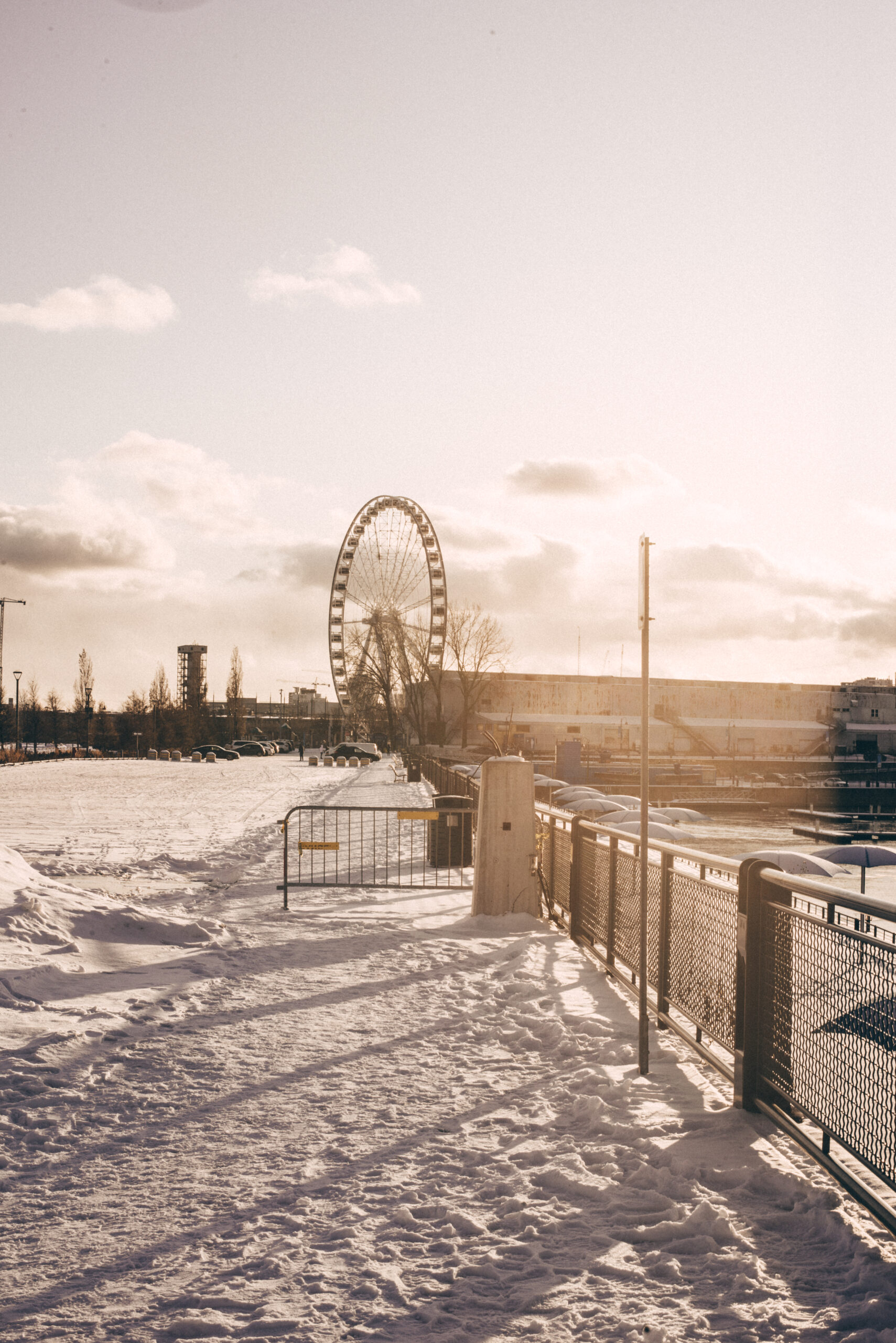 Photography in Montreal Through My Lens: A Photographer’s Guide