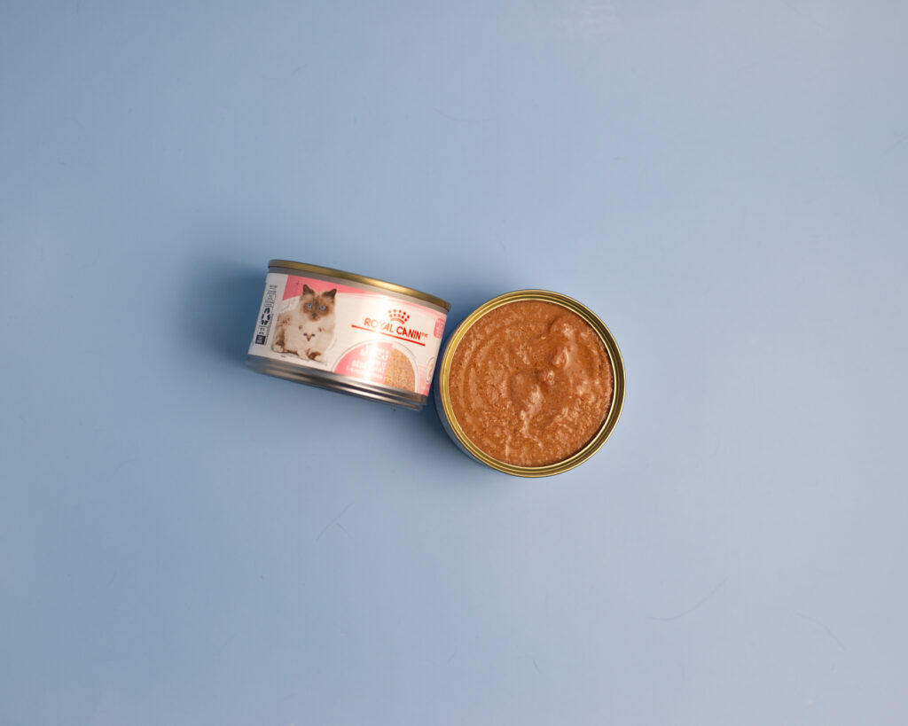 Pet product photography featuring cat food styled for brand content