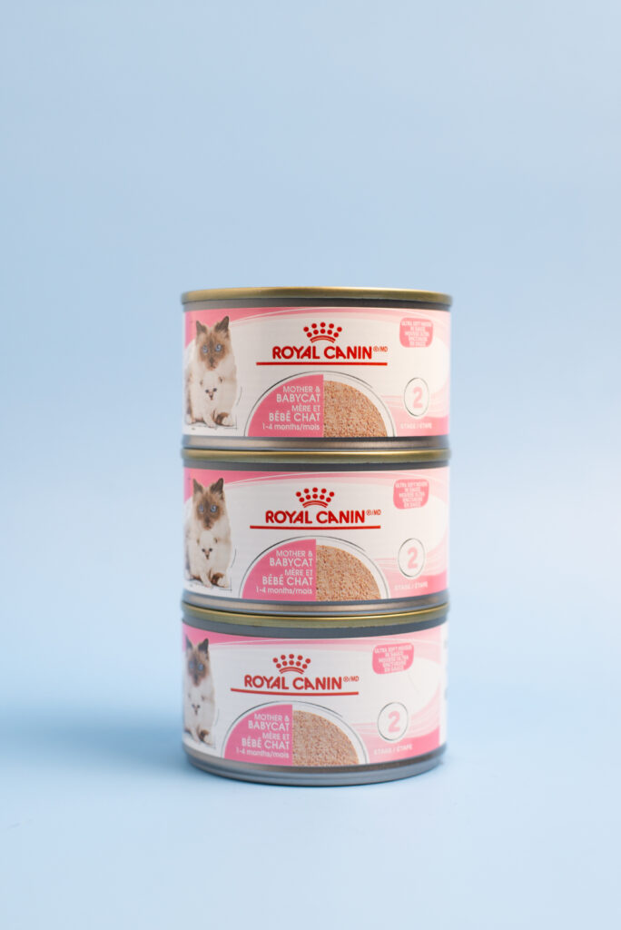 Lifestyle pet brand photography with a cat interacting naturally with the product